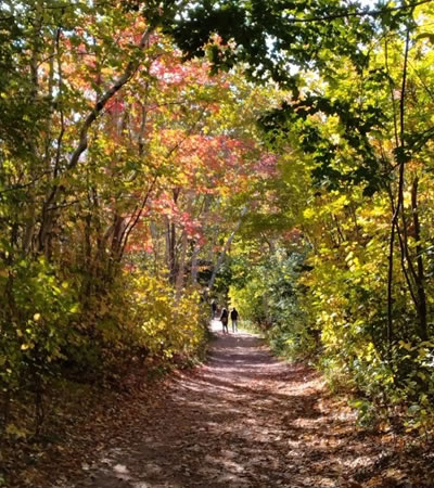 恋人の小径　イメージ