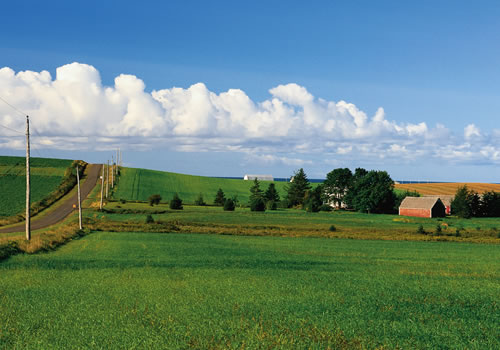 プリンスエドワード島の田園風景イメージ